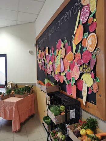 Dia Mundial da Alimentação 2023