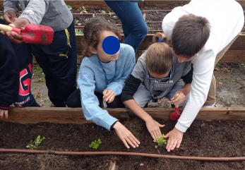 Trabalhos do 5.º C na horta