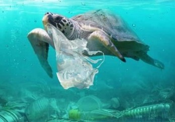 Nas Profundezas de um Problema